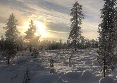 Trysil-Knuts Fjellverden Øst - Eltsjøen - Eltdalen - Nytebo 221205